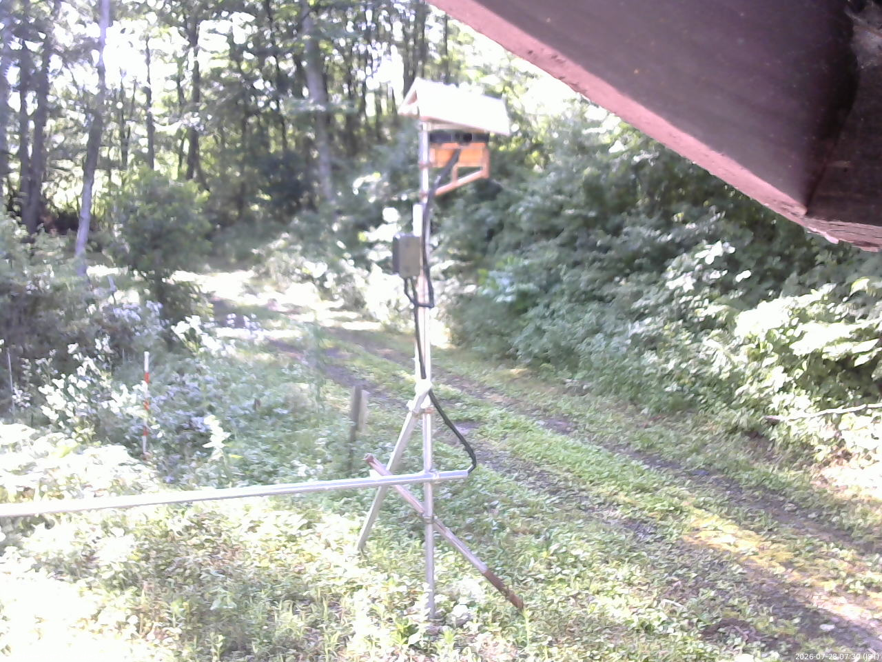 長野県菅平高原 ゆたか山荘 南側 2026/07/28 07:30
