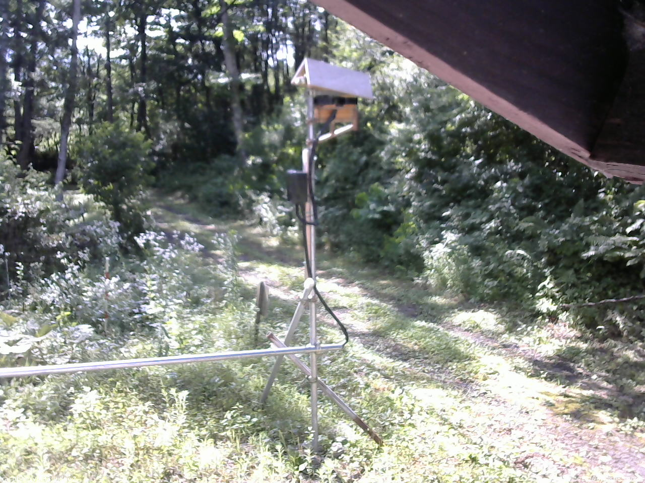 長野県菅平高原 ゆたか山荘 南側 2026/07/28 08:15