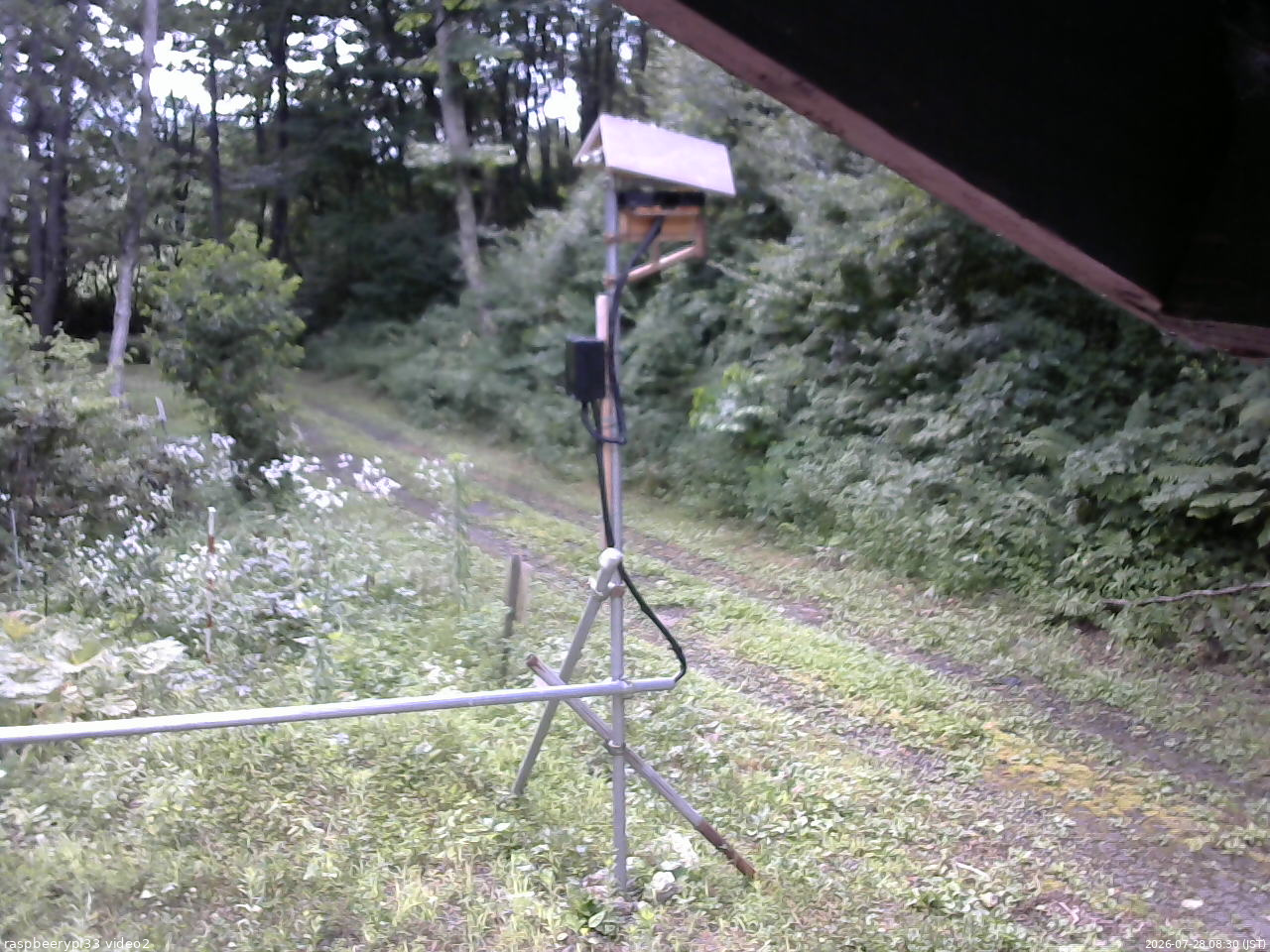 長野県菅平高原 ゆたか山荘 南側 2026/07/28 08:30