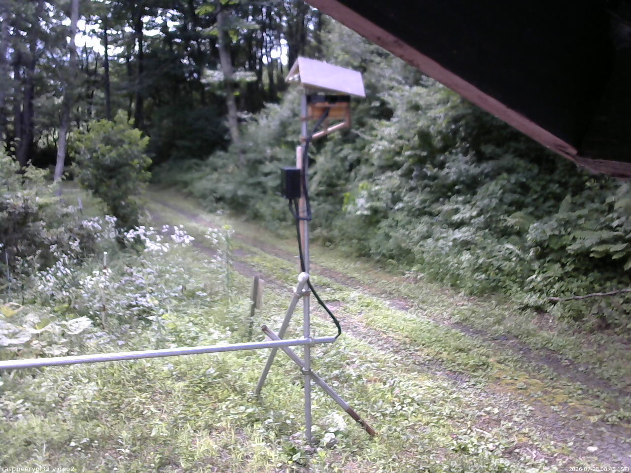 長野県菅平高原 ゆたか山荘 南側 2026/07/28 08:45