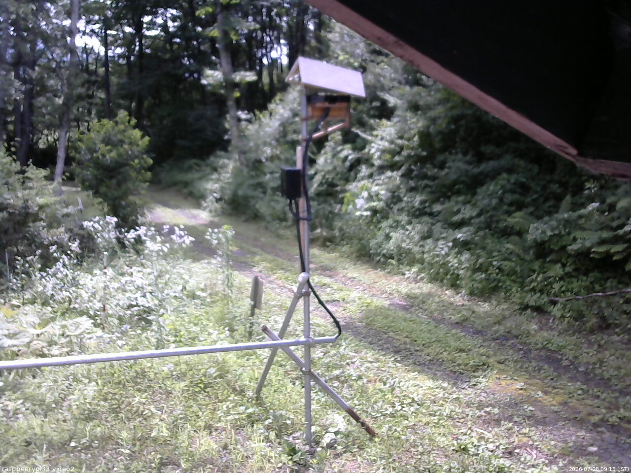 長野県菅平高原 ゆたか山荘 南側 2026/07/28 09:15