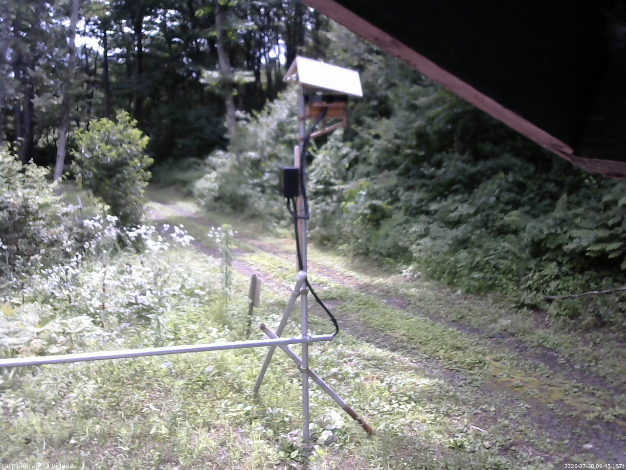 長野県菅平高原 ゆたか山荘 南側 2026/07/28 09:45
