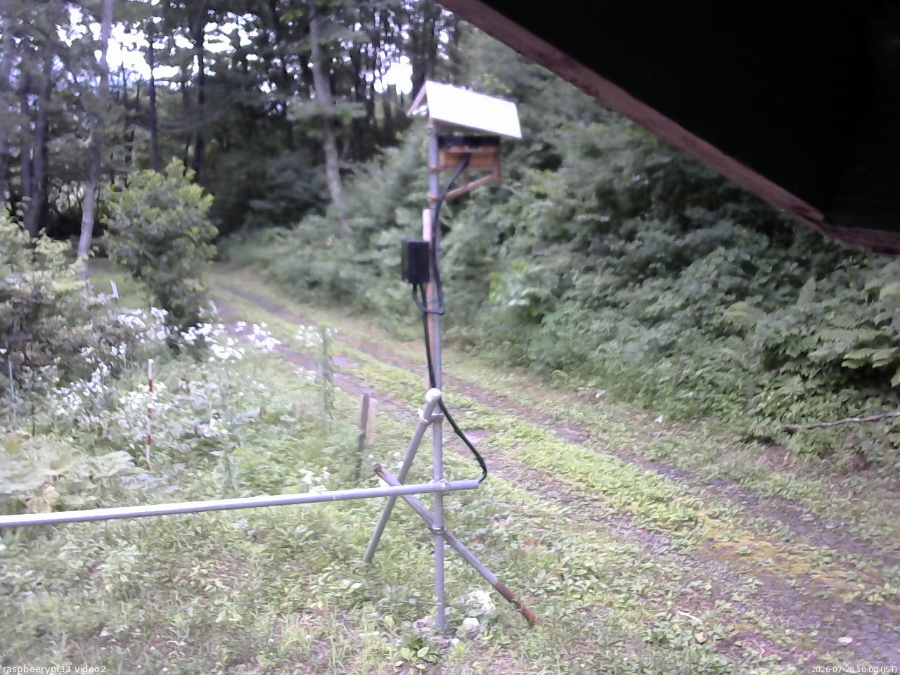 長野県菅平高原 ゆたか山荘 南側 2026/07/28 10:00
