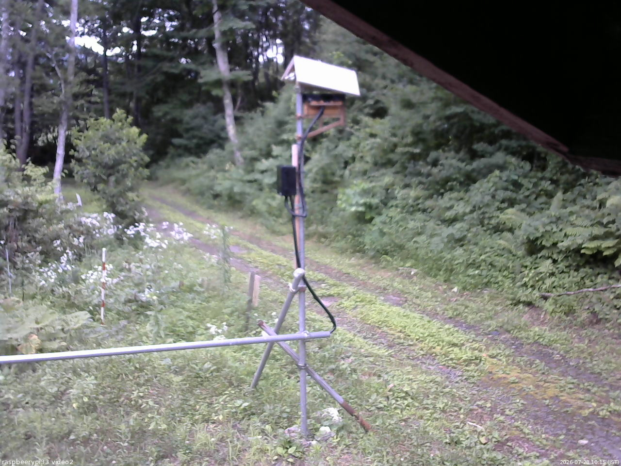 長野県菅平高原 ゆたか山荘 南側 2026/07/28 10:15