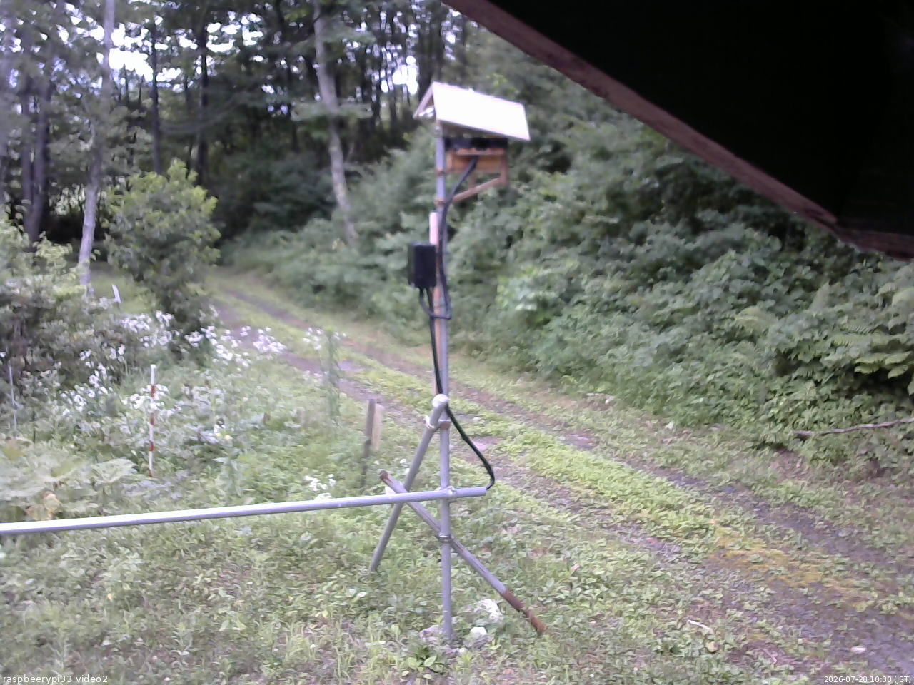 長野県菅平高原 ゆたか山荘 南側 2026/07/28 10:30