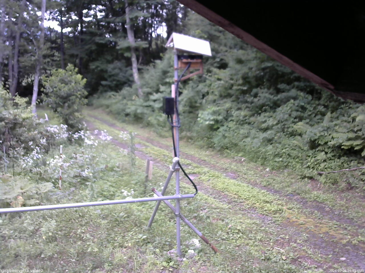 長野県菅平高原 ゆたか山荘 南側 2026/07/28 10:45