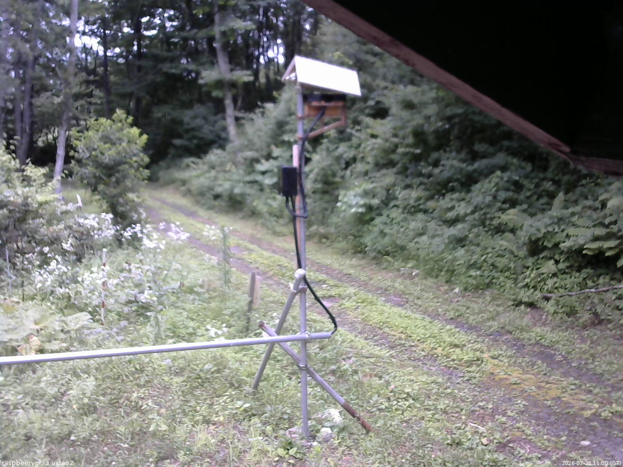 長野県菅平高原 ゆたか山荘 南側 2026/07/28 11:00