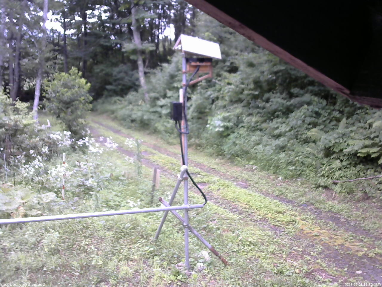 長野県菅平高原 ゆたか山荘 南側 2026/07/28 11:30