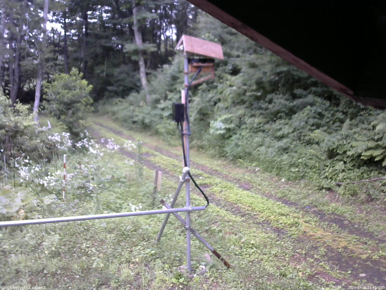 長野県菅平高原 ゆたか山荘 南側 2026/07/28 11:45