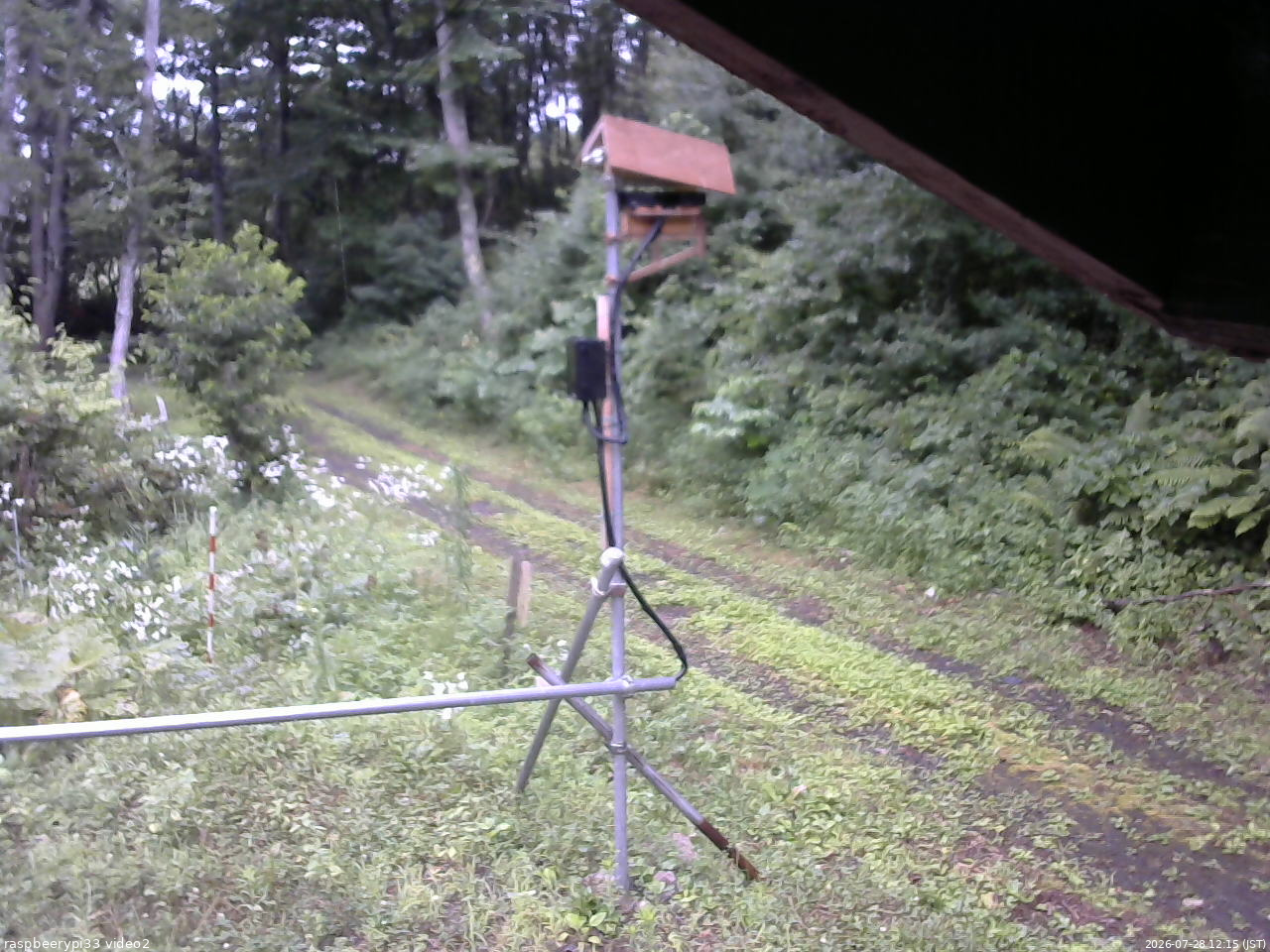 長野県菅平高原 ゆたか山荘 南側 2026/07/28 12:15