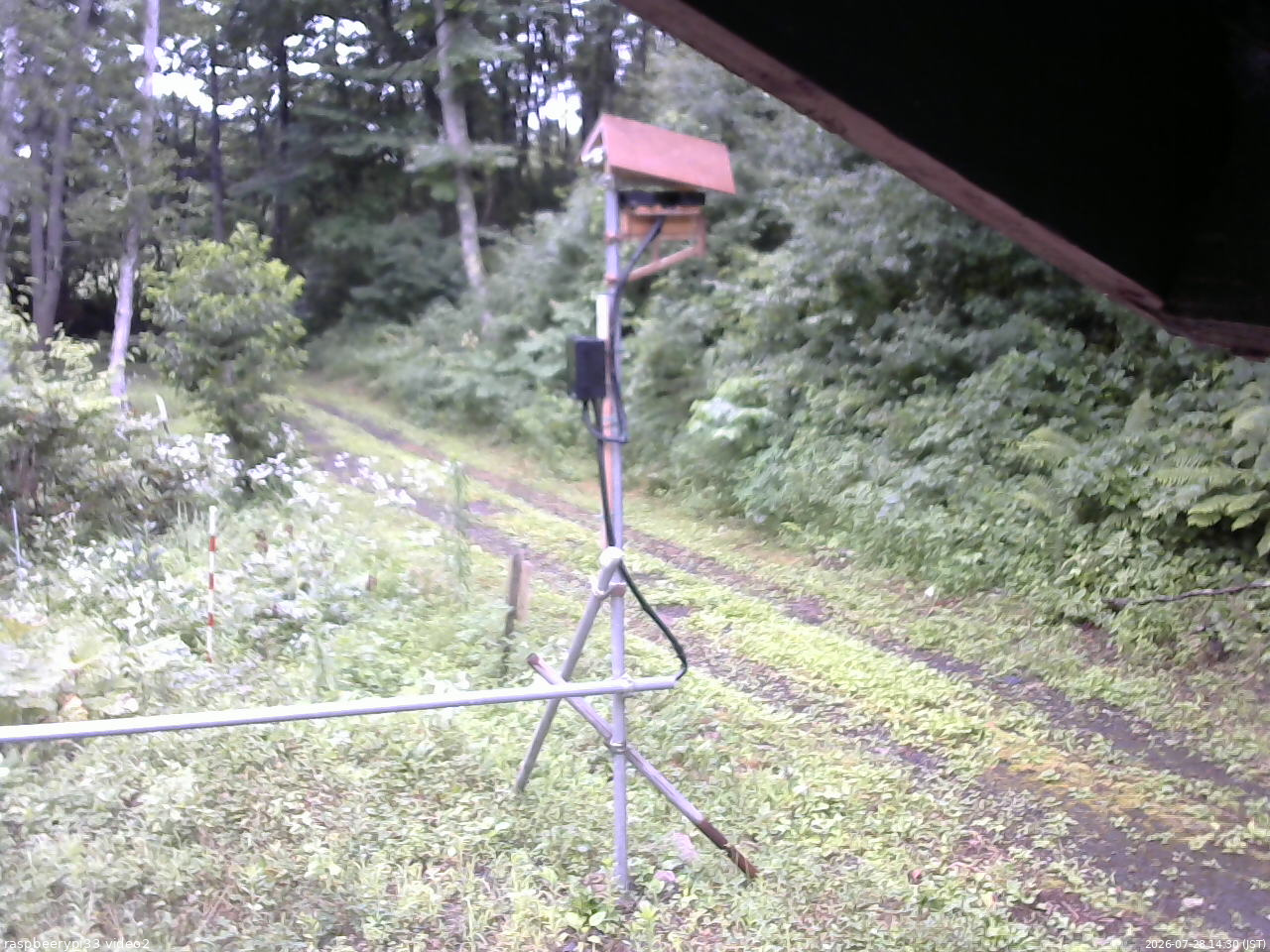 長野県菅平高原 ゆたか山荘 南側 2026/07/28 14:30