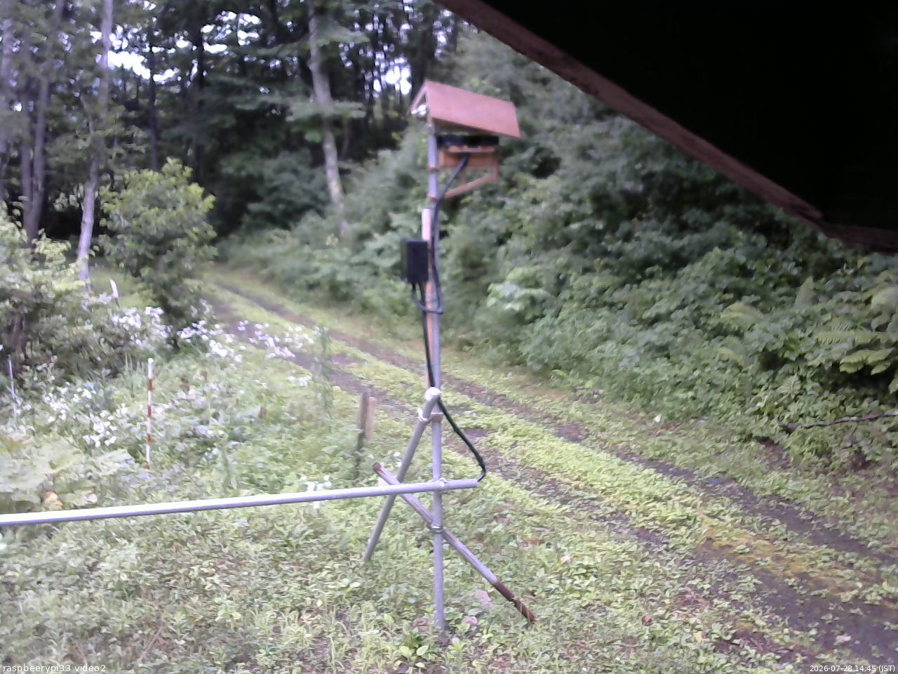 長野県菅平高原 ゆたか山荘 南側 2026/07/28 14:45