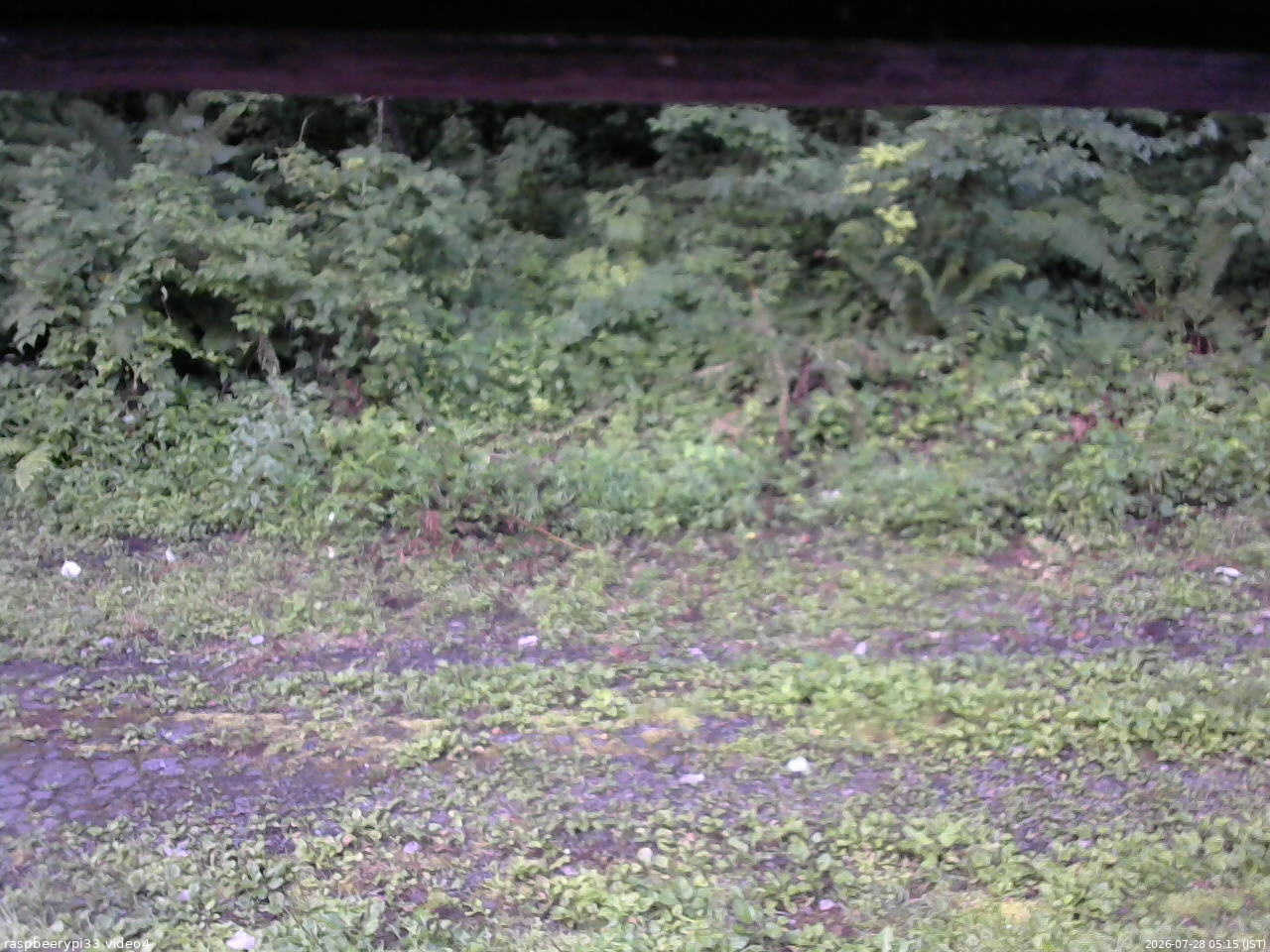 長野県菅平高原 ゆたか山荘 東側(坂下) 2026/07/28 05:15