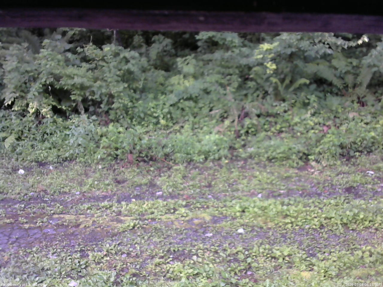 長野県菅平高原 ゆたか山荘 東側(坂下) 2026/07/28 06:15