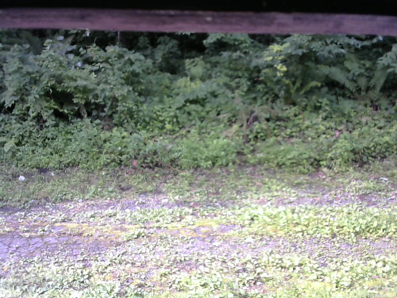 長野県菅平高原 ゆたか山荘 東側(坂下) 2026/07/28 08:00