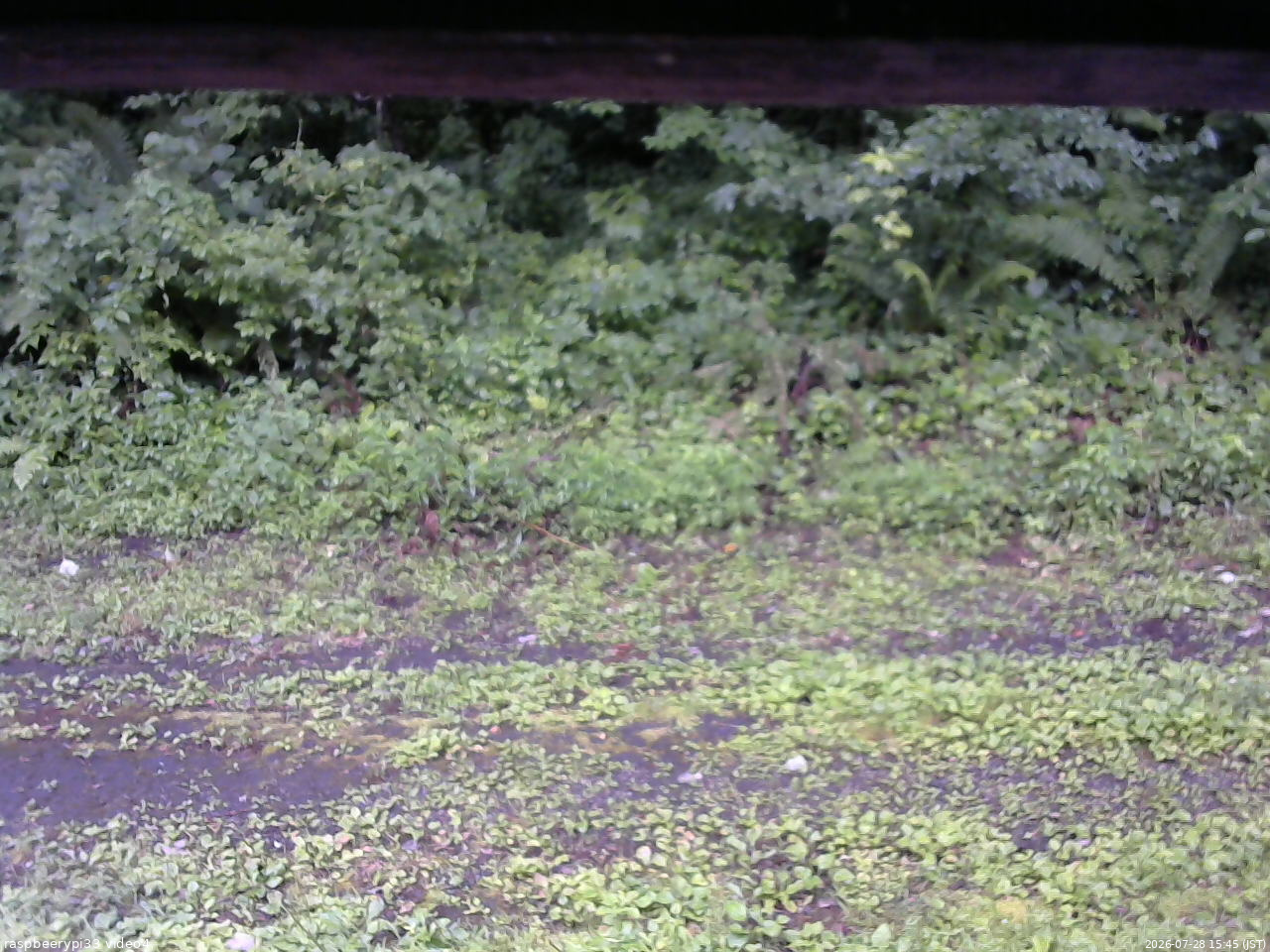 長野県菅平高原 ゆたか山荘 東側(坂下) 2026/07/28 15:45