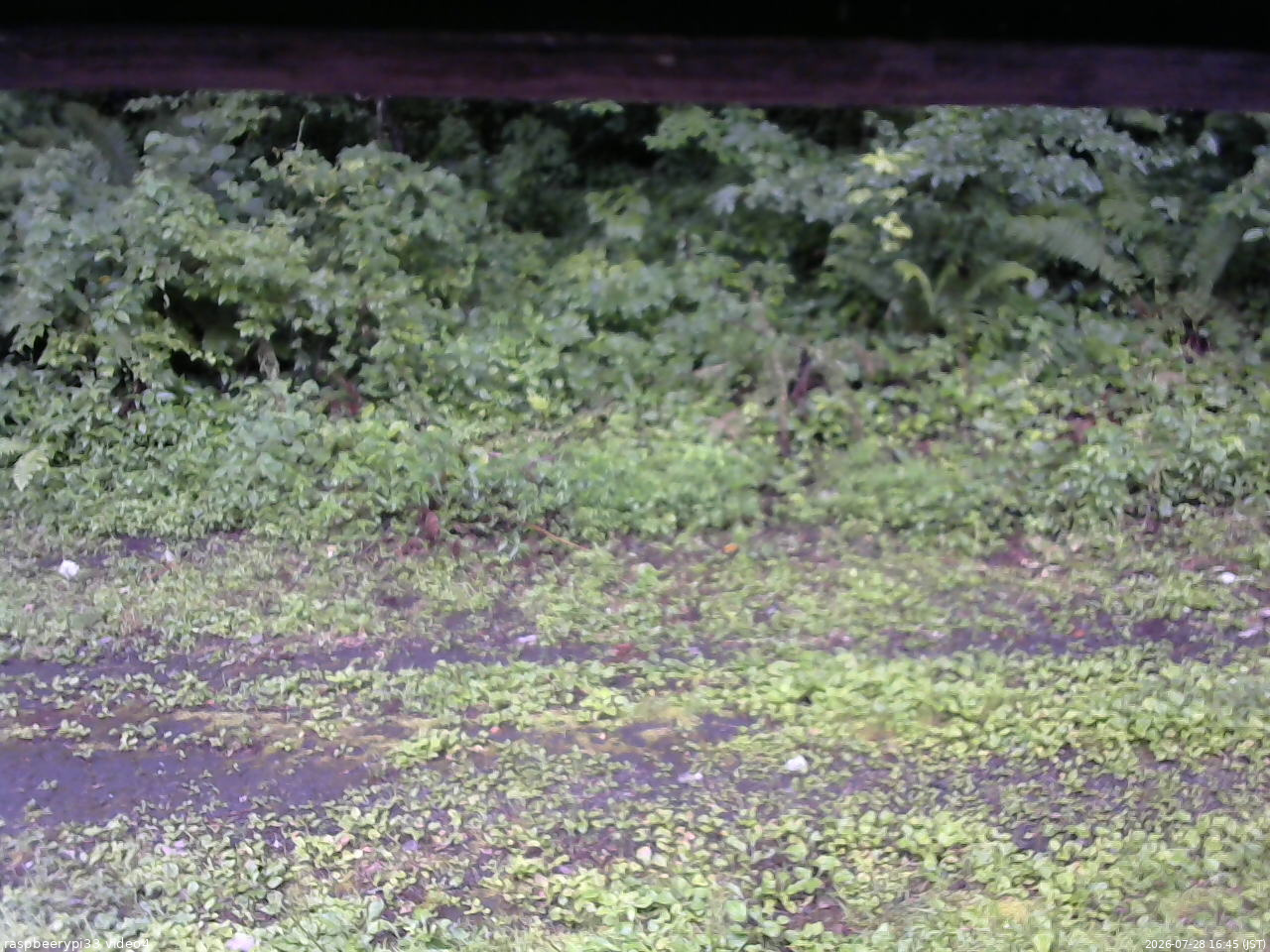 長野県菅平高原 ゆたか山荘 東側(坂下) 2026/07/28 16:45