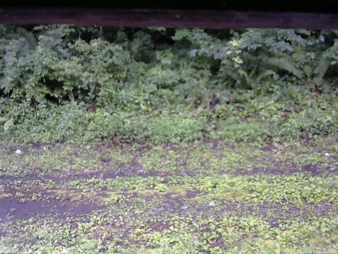 長野県菅平高原 ゆたか山荘 東側(坂下) 2026/07/28 18:15