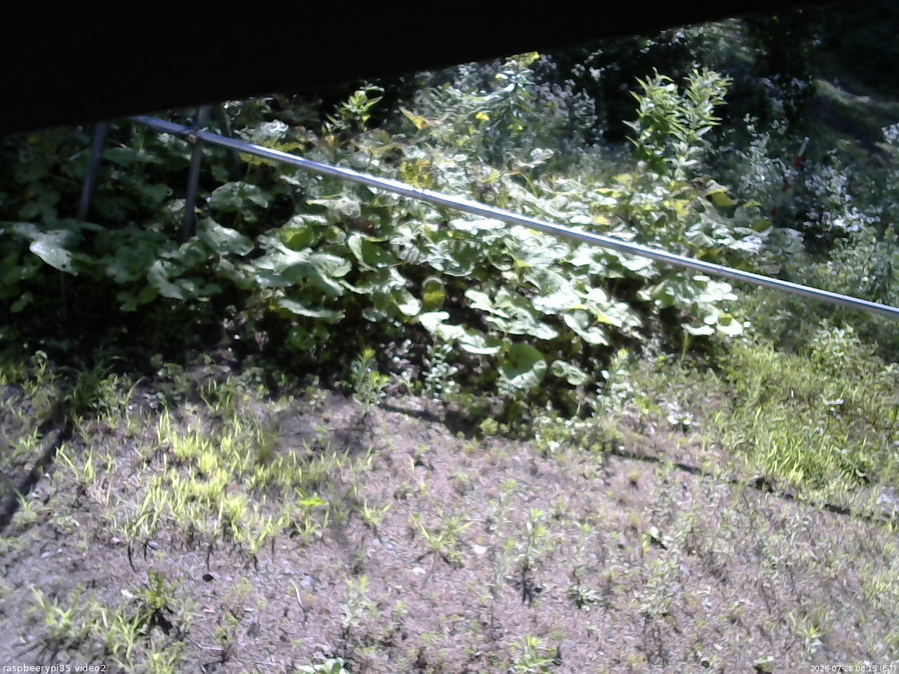 長野県菅平高原 ゆたか山荘 駐車場 2026/07/28 08:15