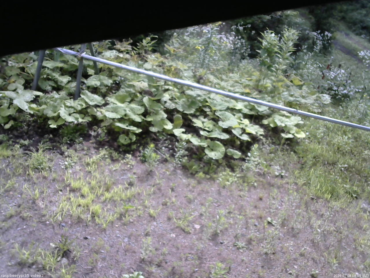 長野県菅平高原 ゆたか山荘 駐車場 2026/07/28 08:45