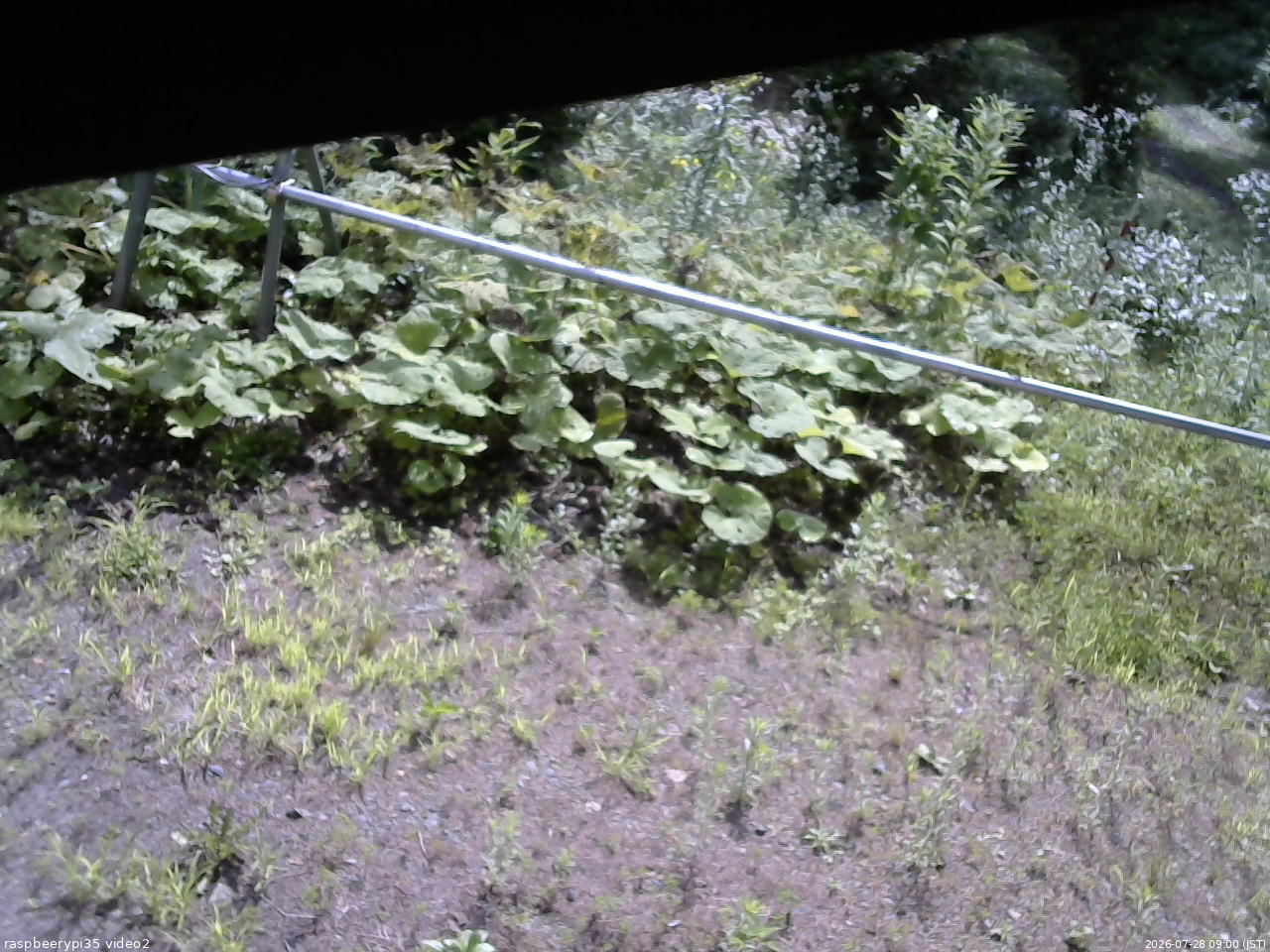 長野県菅平高原 ゆたか山荘 駐車場 2026/07/28 09:00