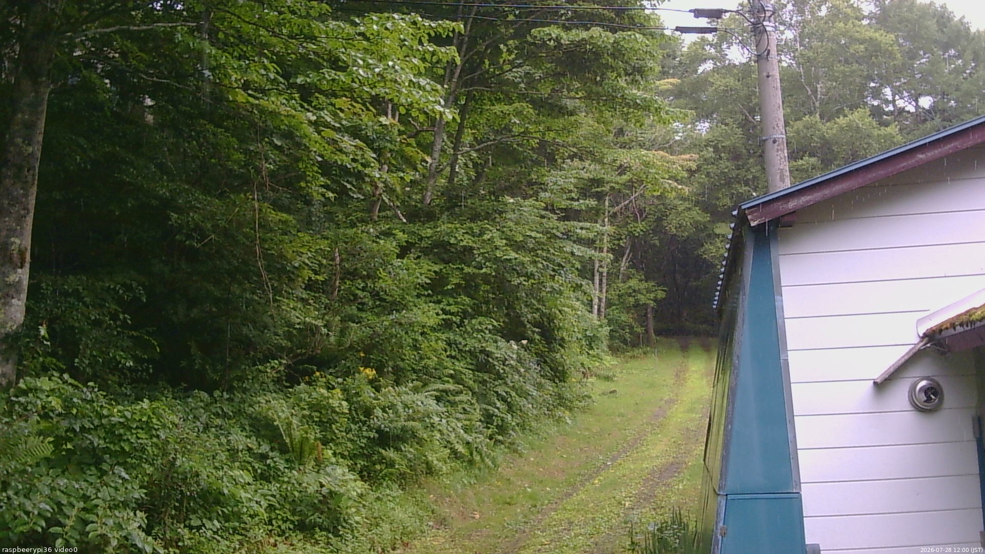長野県菅平高原 ゆたか山荘 ゆたか山荘 2026/07/28 12:00
