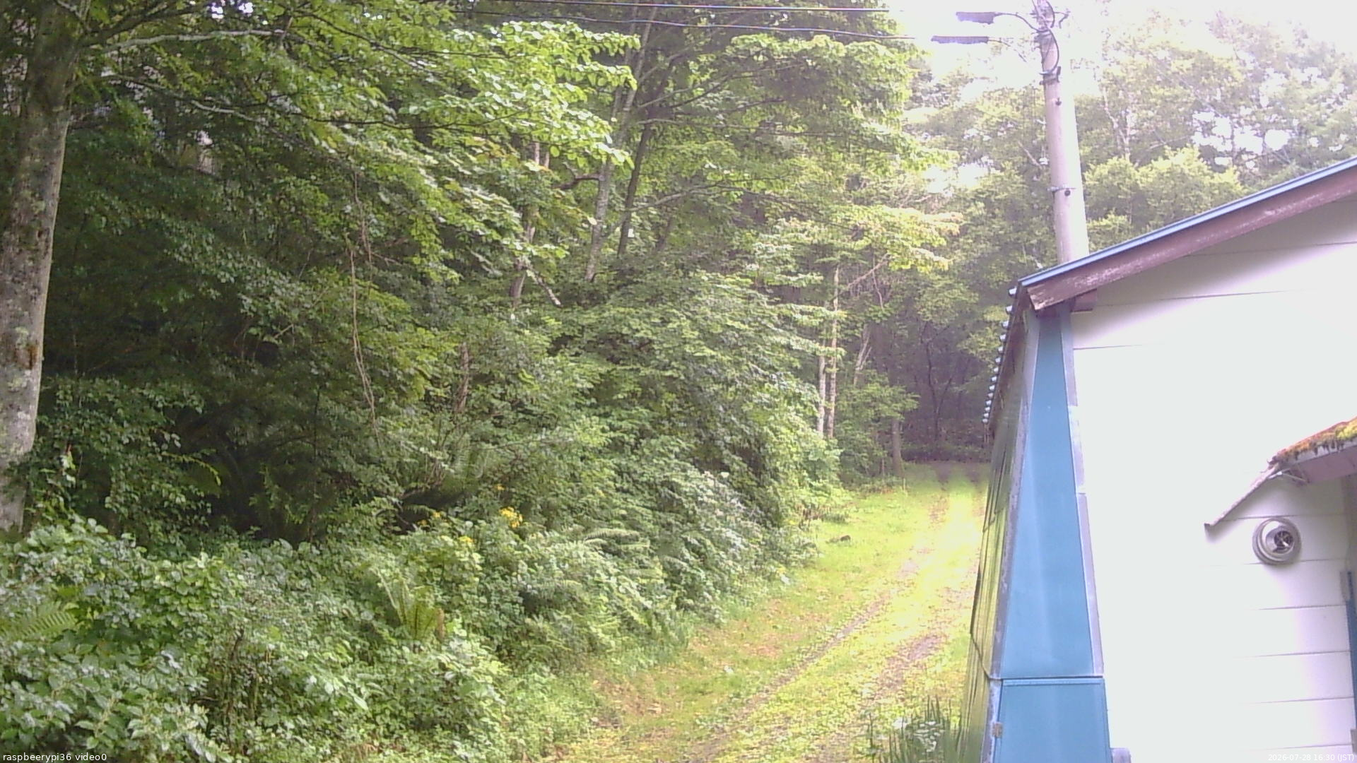 長野県菅平高原 ゆたか山荘 ゆたか山荘 2026/07/28 16:30