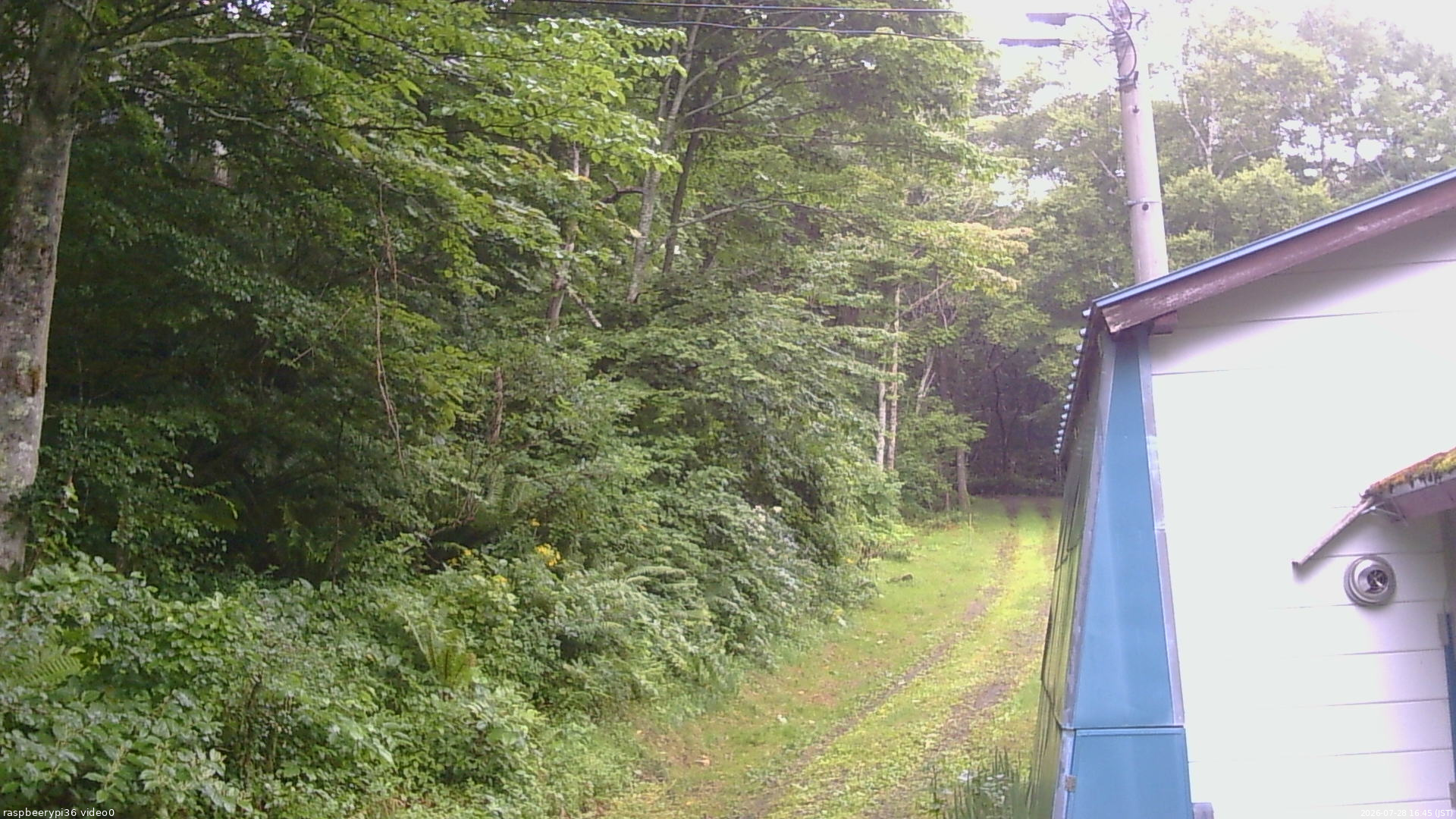 長野県菅平高原 ゆたか山荘 ゆたか山荘 2026/07/28 16:45