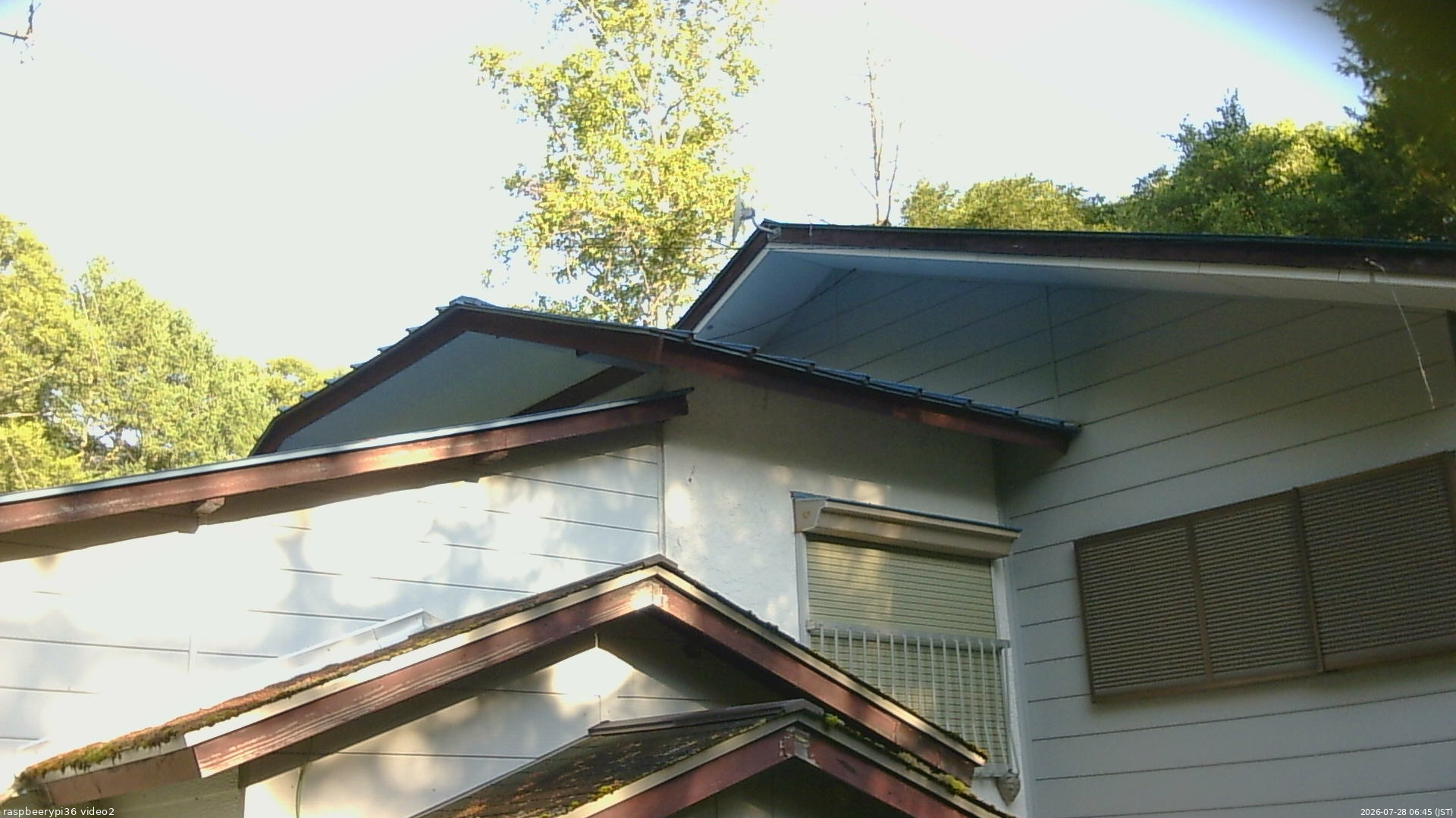 長野県菅平高原 ゆたか山荘 駐車場奥 2026/07/28 06:45