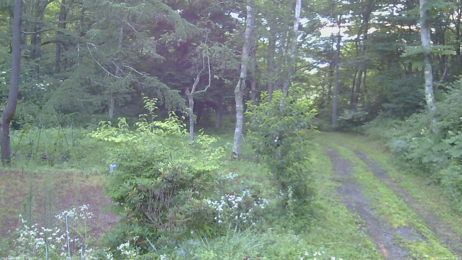 長野県菅平高原 ゆたか山荘 坂上 2026/07/28 05:15