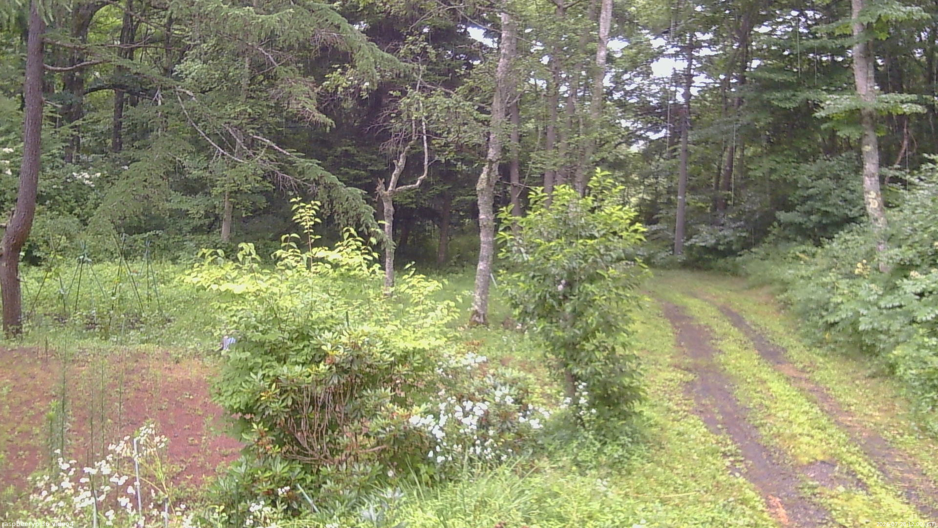 長野県菅平高原 ゆたか山荘 坂上 2026/07/28 12:00