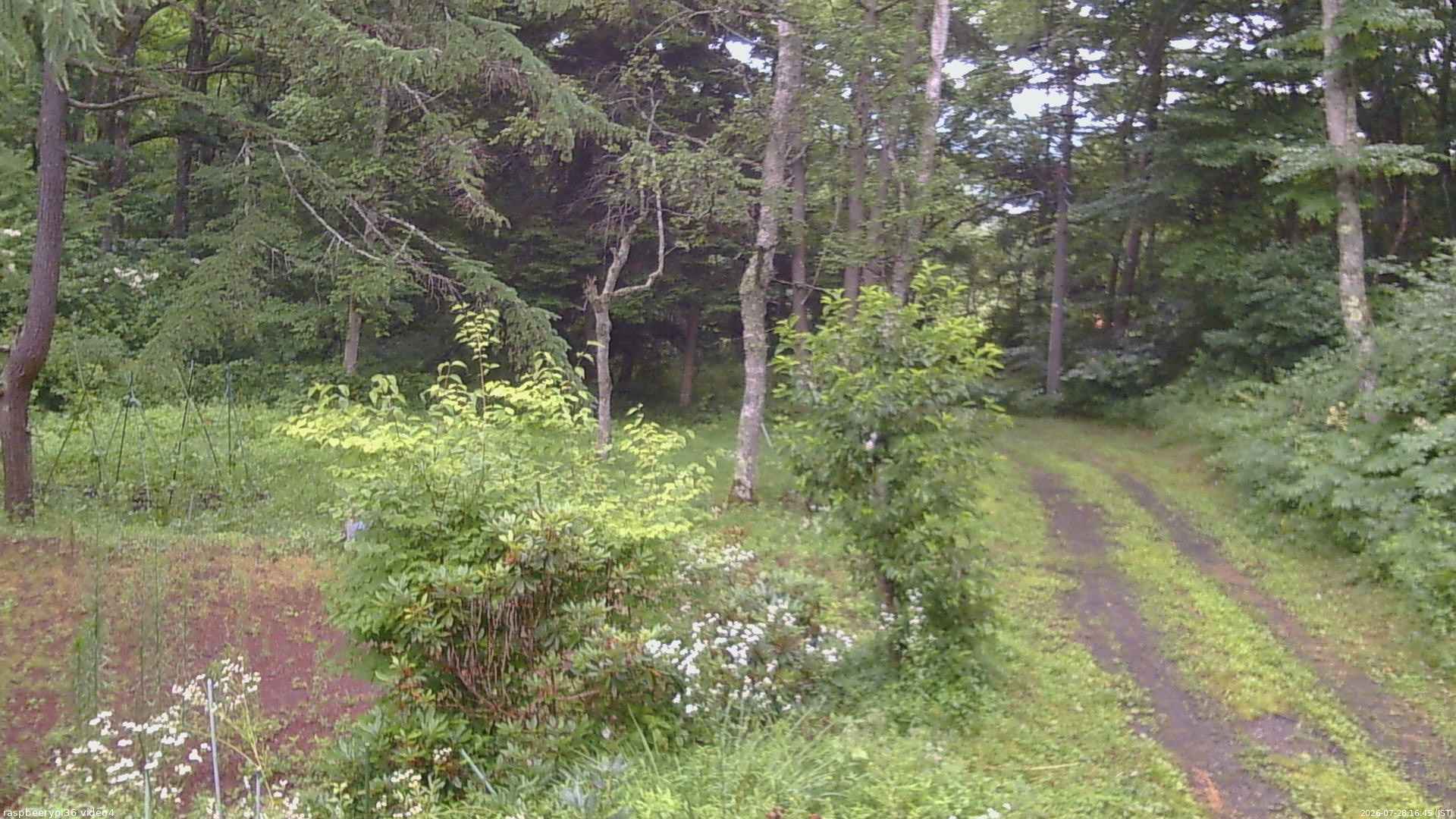 長野県菅平高原 ゆたか山荘 坂上 2026/07/28 16:45