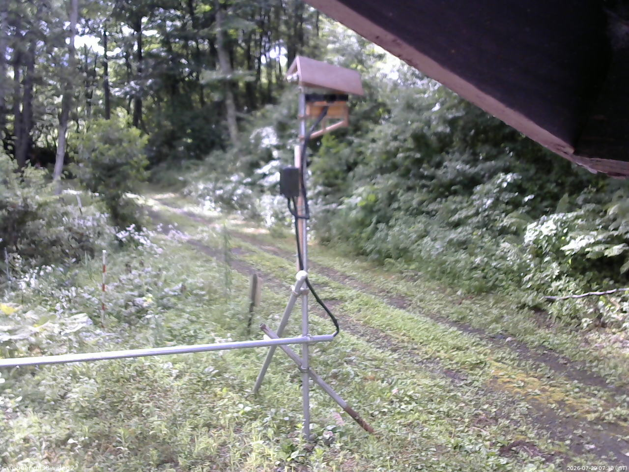 長野県菅平高原 ゆたか山荘 南側 2026/07/29 07:30