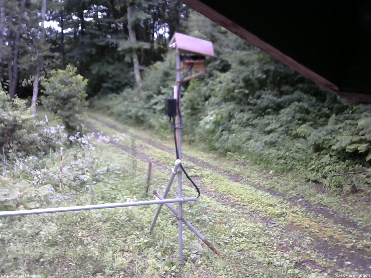 長野県菅平高原 ゆたか山荘 南側 2026/07/29 07:45