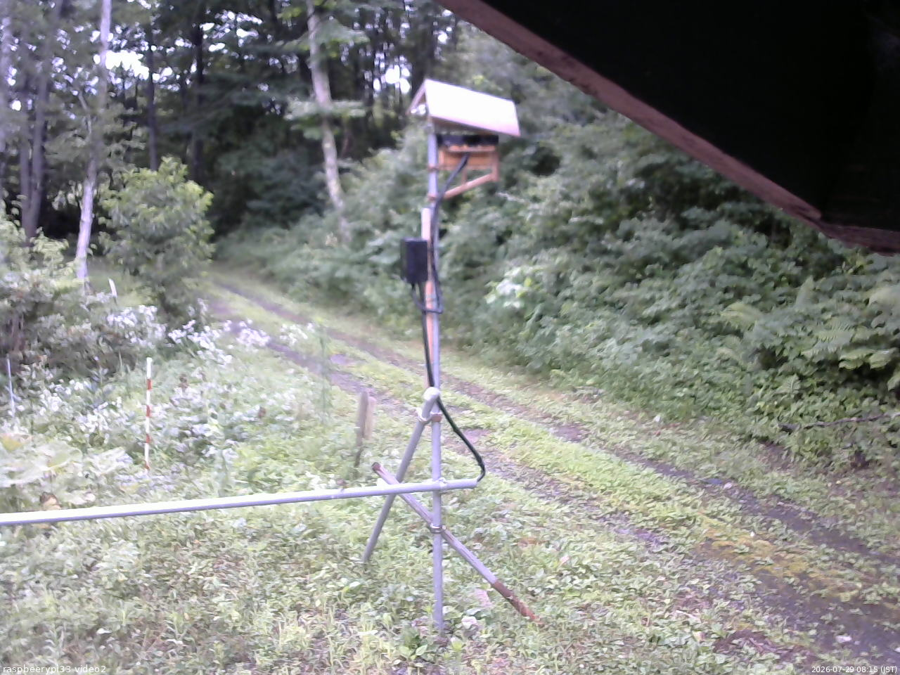 長野県菅平高原 ゆたか山荘 南側 2026/07/29 08:15