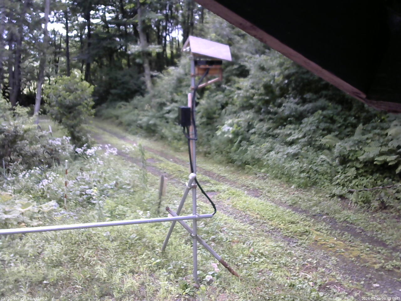 長野県菅平高原 ゆたか山荘 南側 2026/07/29 08:45