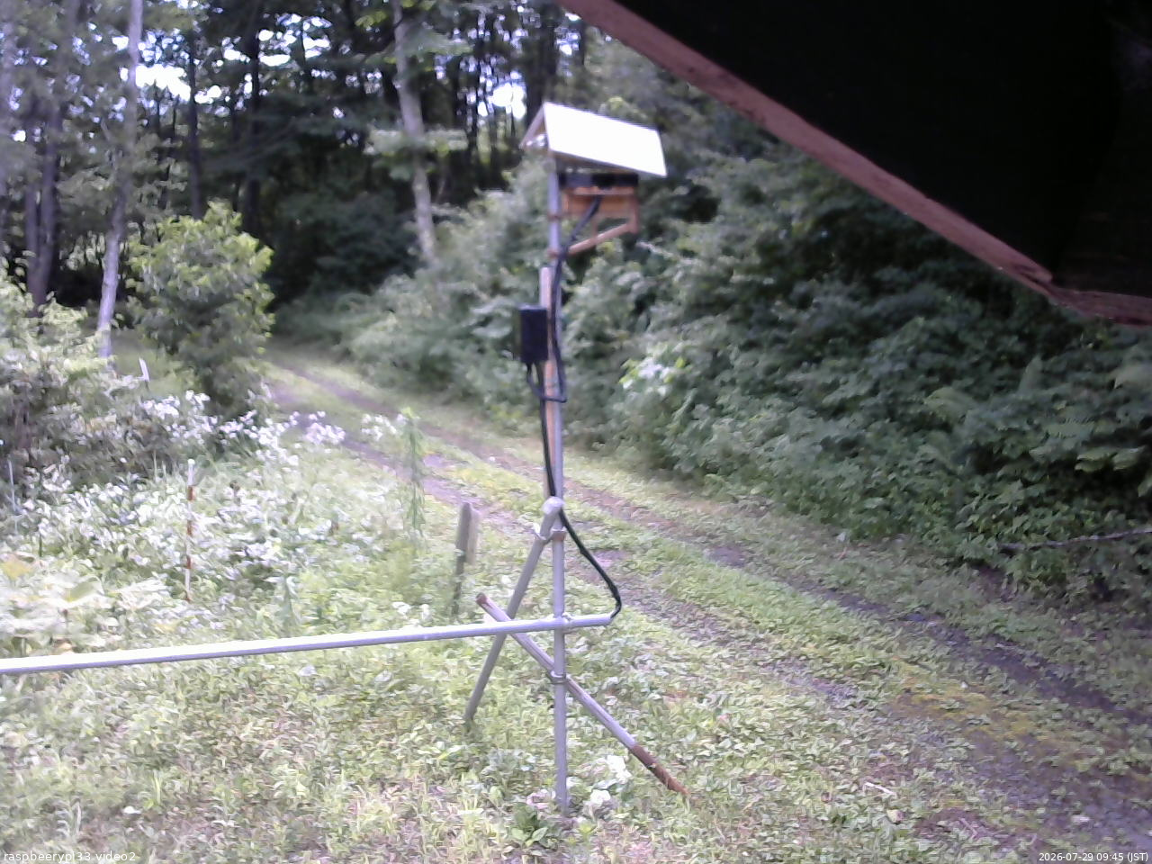 長野県菅平高原 ゆたか山荘 南側 2026/07/29 09:45