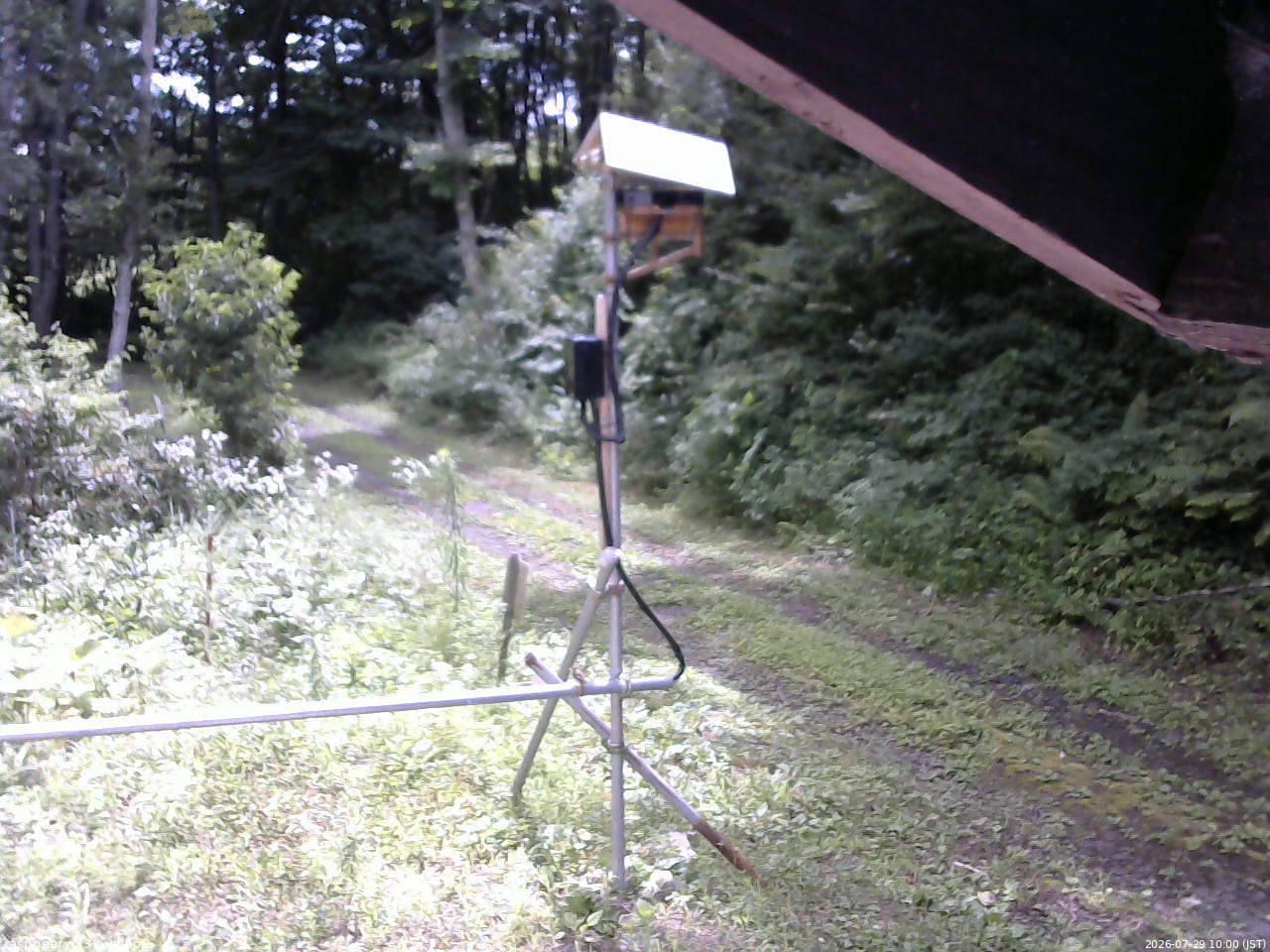 長野県菅平高原 ゆたか山荘 南側 2026/07/29 10:00