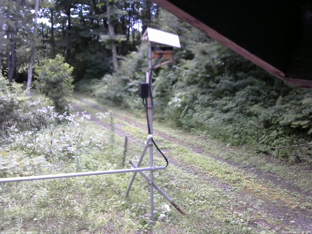 長野県菅平高原 ゆたか山荘 南側 2026/07/29 10:15