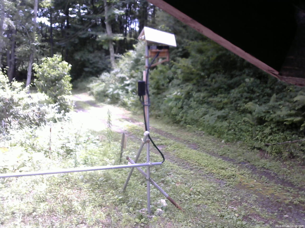 長野県菅平高原 ゆたか山荘 南側 2026/07/29 10:45
