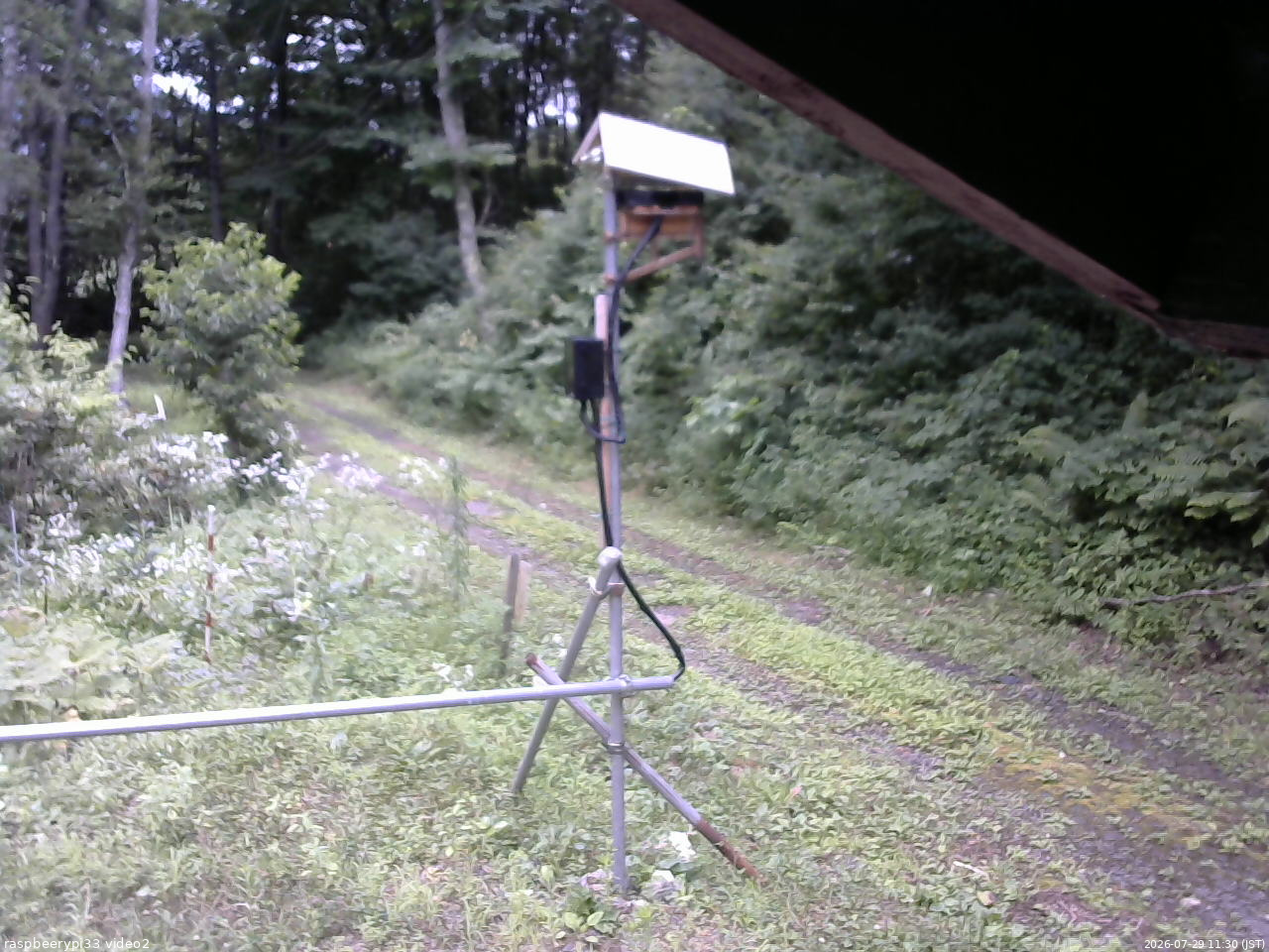 長野県菅平高原 ゆたか山荘 南側 2026/07/29 11:30