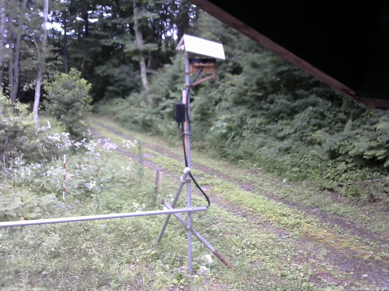 長野県菅平高原 ゆたか山荘 南側 2026/07/29 11:45