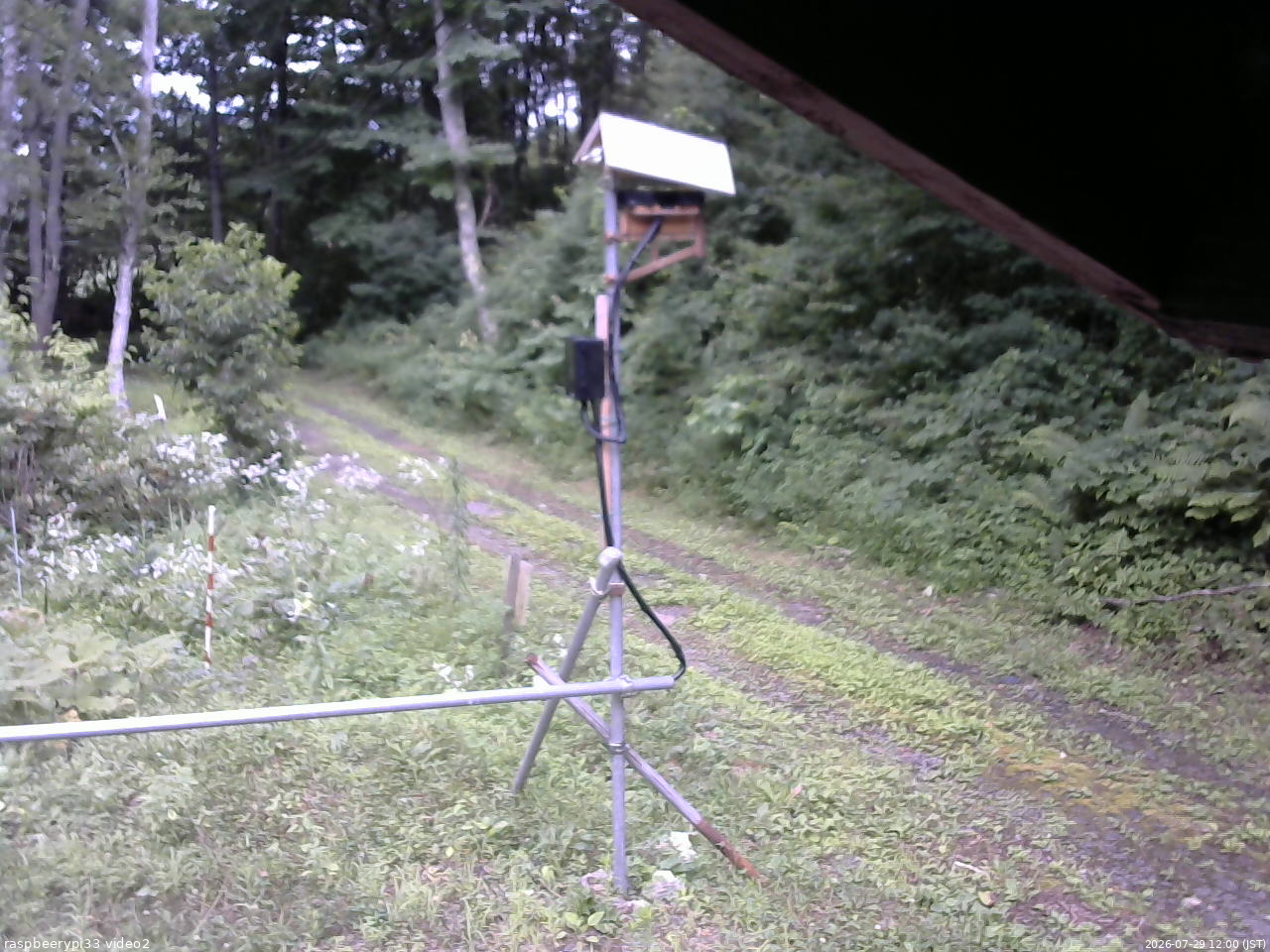 長野県菅平高原 ゆたか山荘 南側 2026/07/29 12:00