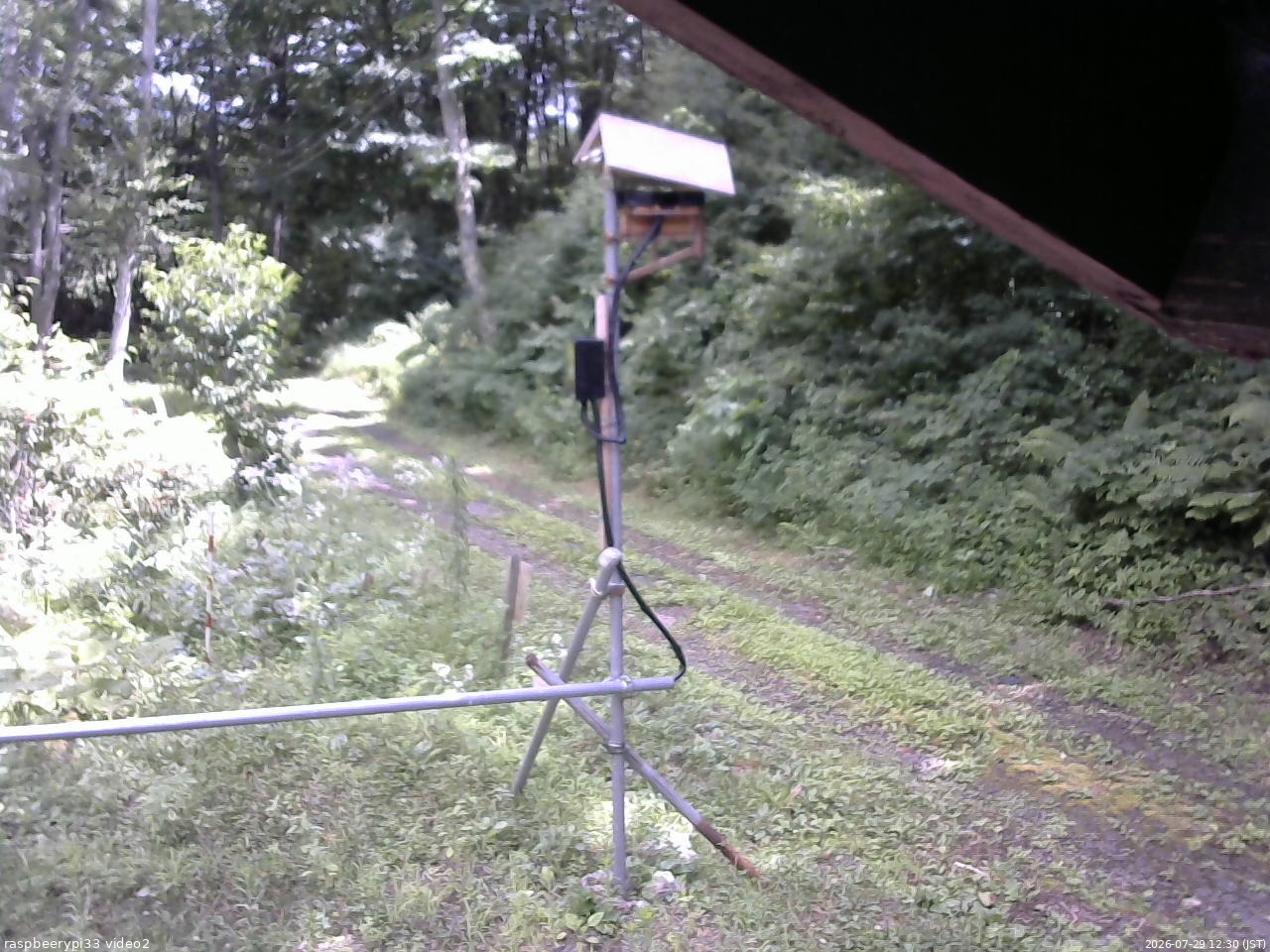長野県菅平高原 ゆたか山荘 南側 2026/07/29 12:30