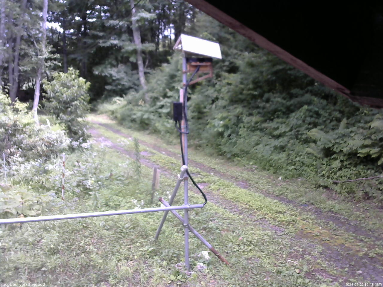 長野県菅平高原 ゆたか山荘 南側 2026/07/29 12:45