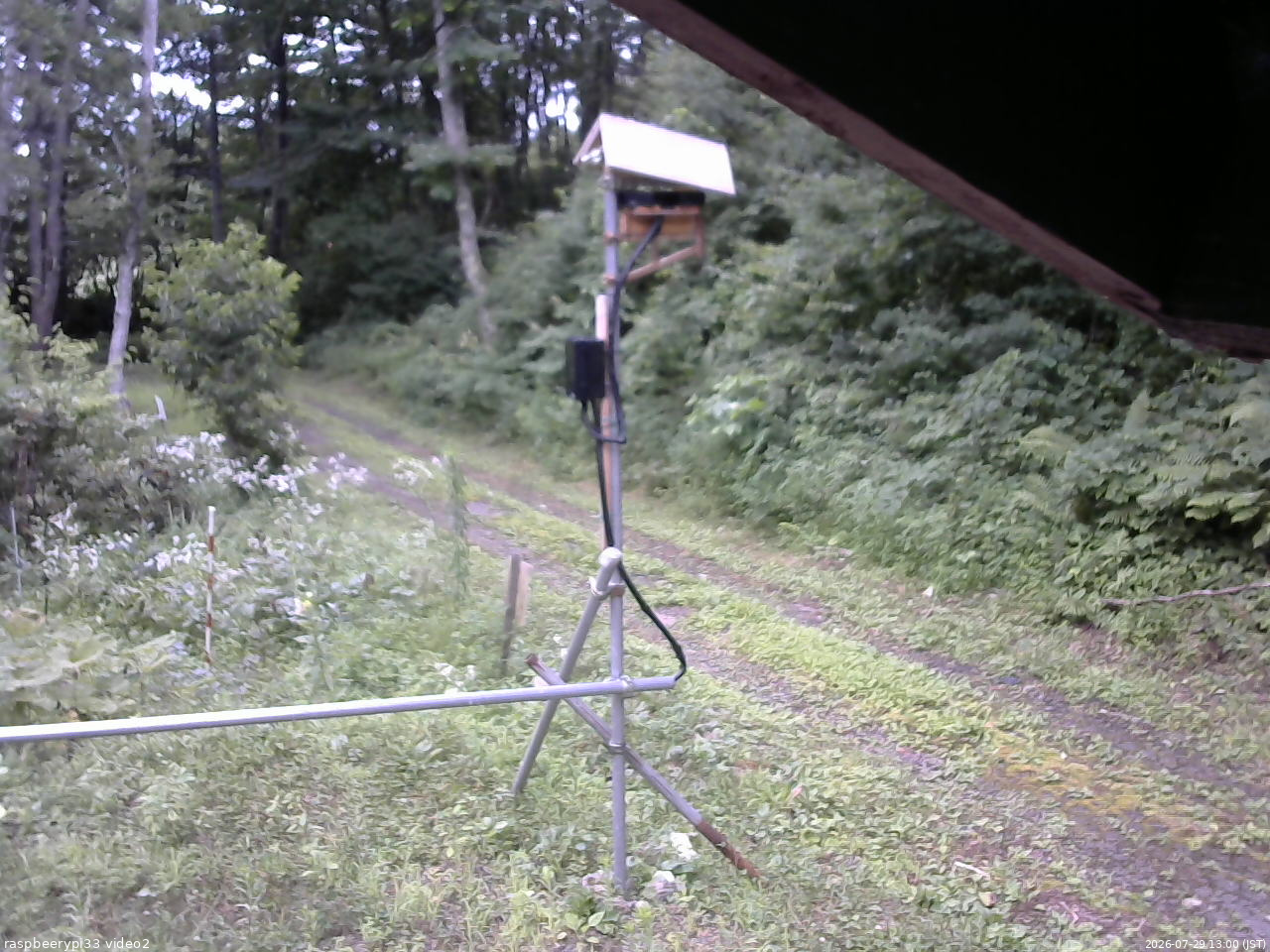 長野県菅平高原 ゆたか山荘 南側 2026/07/29 13:00