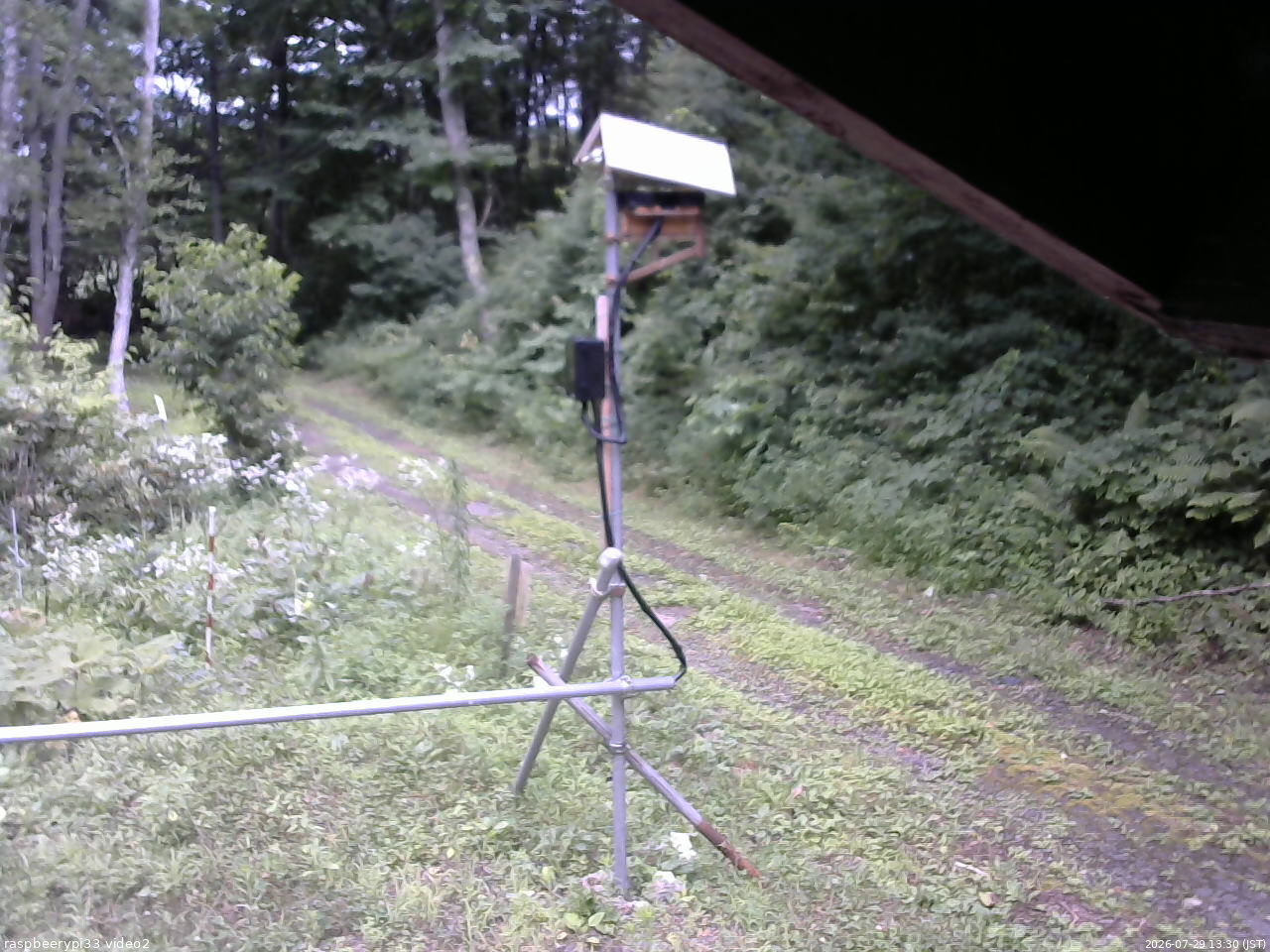 長野県菅平高原 ゆたか山荘 南側 2026/07/29 13:30