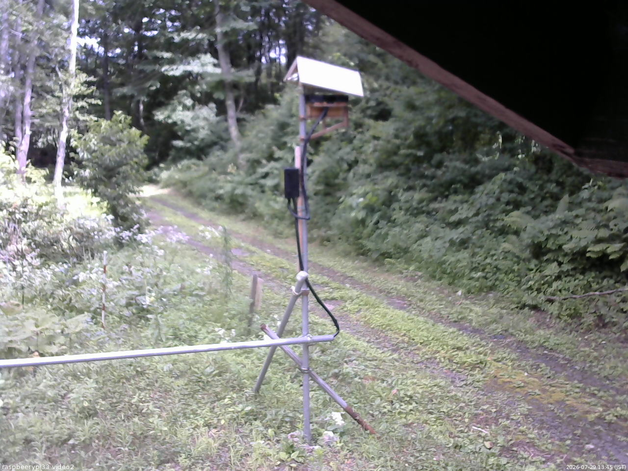 長野県菅平高原 ゆたか山荘 南側 2026/07/29 13:45
