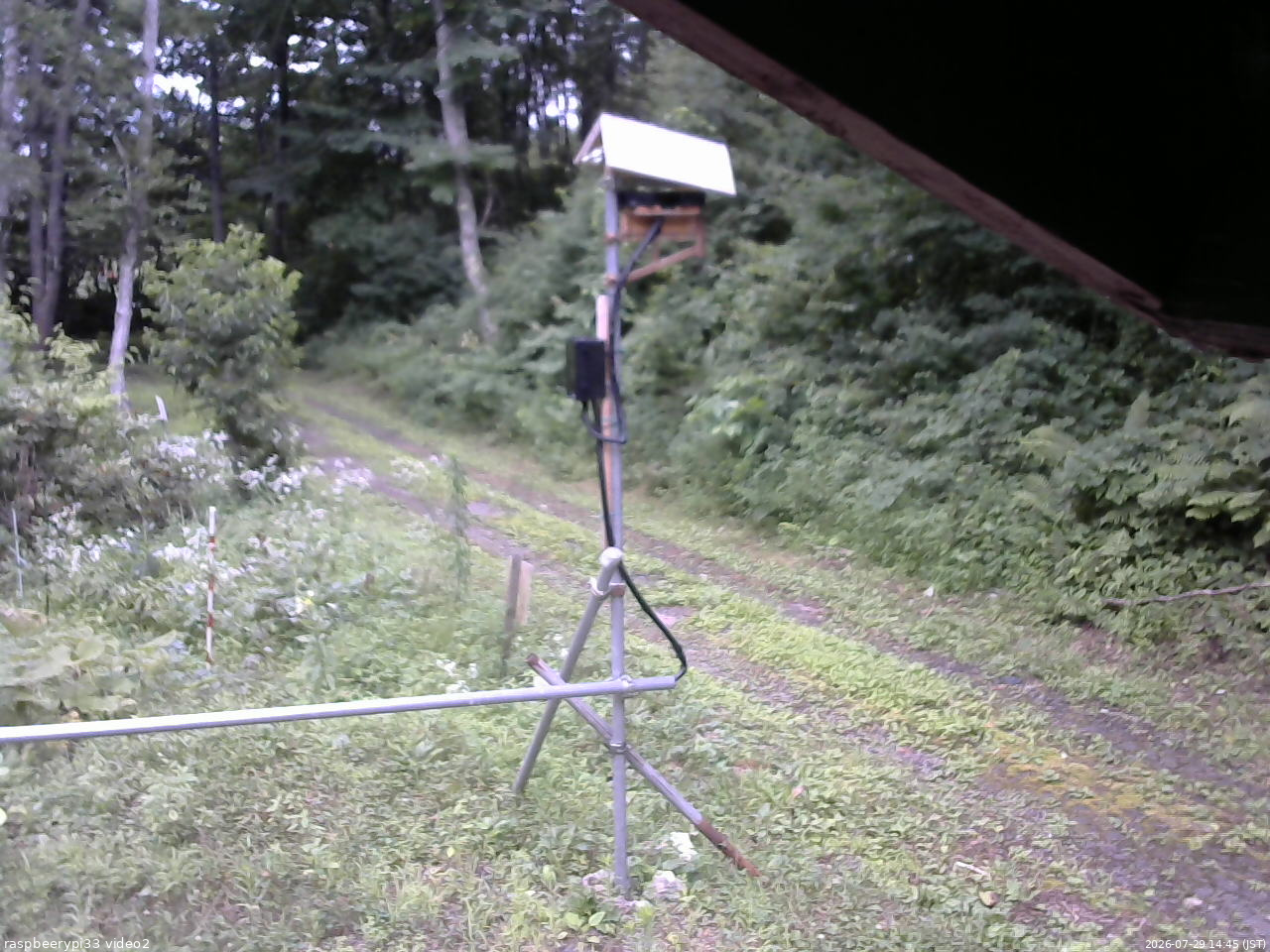 長野県菅平高原 ゆたか山荘 南側 2026/07/29 14:45