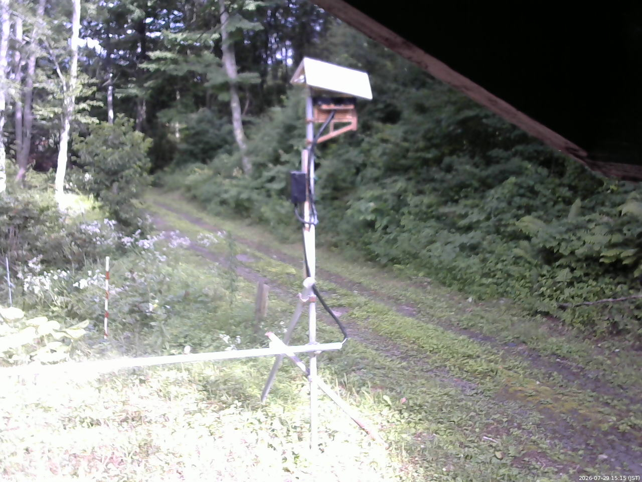 長野県菅平高原 ゆたか山荘 南側 2026/07/29 15:15